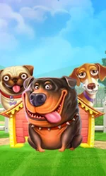 The Dog House